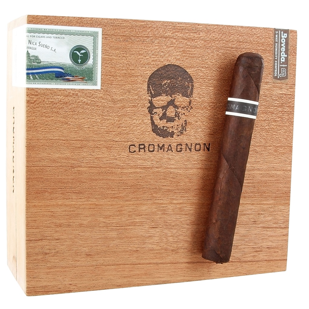 RoMa Craft CroMagnon Cranium 6" * 54