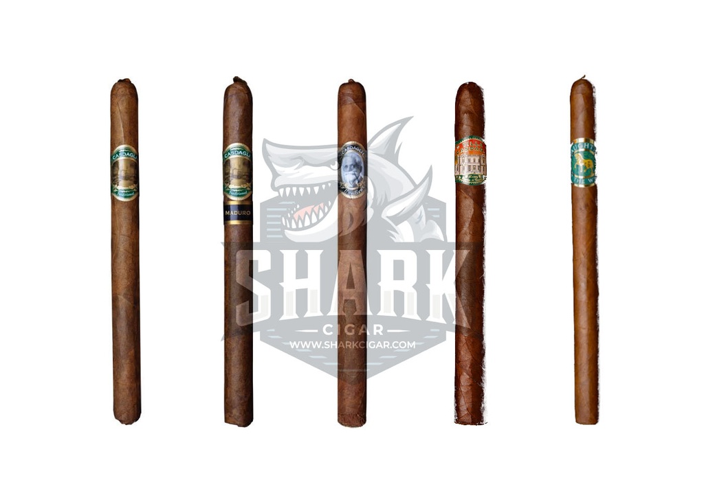 Casdagli Lancero Sampler				