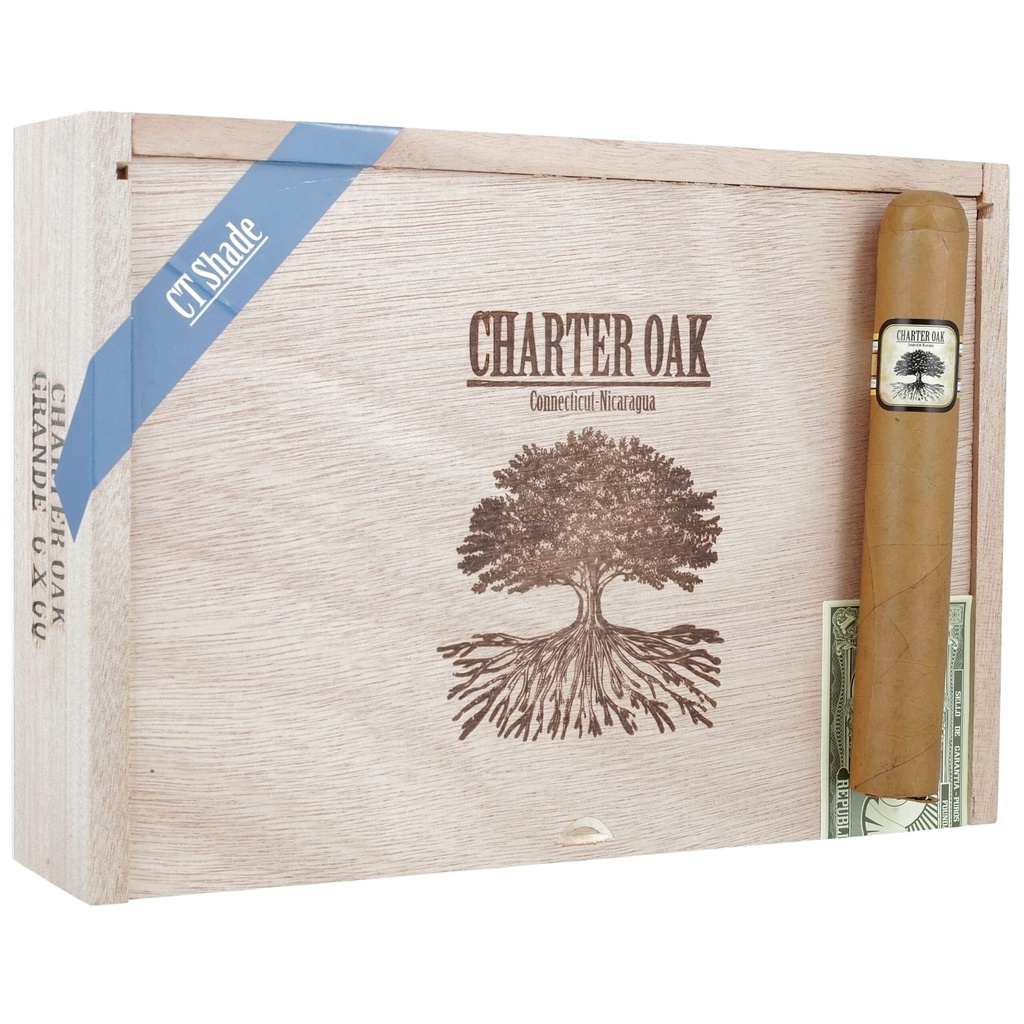 Foundation Charter Oak Connecticut Grande 6" * 60