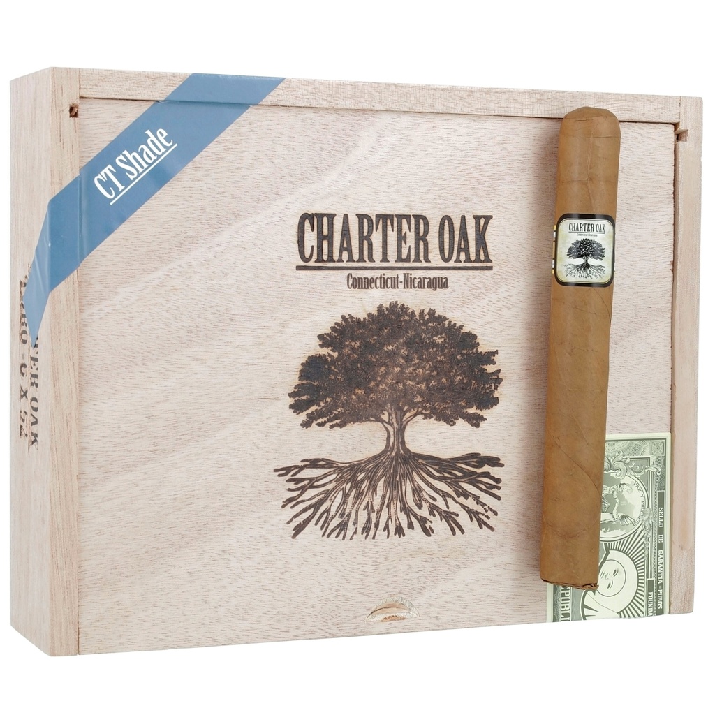 Foundation Charter Oak Connecticut Toro 6" * 52