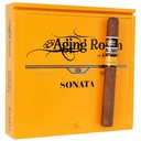 Aging Room Quattro Sonata Concerto 7" * 50