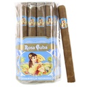 Rosa Cuba Mille Fleurs 6"3/4 * 48