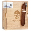 RoMa Craft CroMagnon Aquitaine Gran Perfecto 5"5/8 * 60