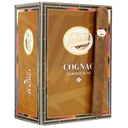 Tatiana Cognac Classic Corona 6" * 44