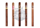 Aladino Lancero Sampler 				