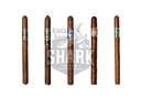 Casdagli Lancero Sampler				